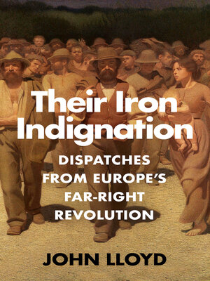 cover image of Their Iron Indignation